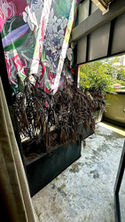 River Valley Road (D9), Apartment #449847951